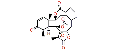 Briareolide I